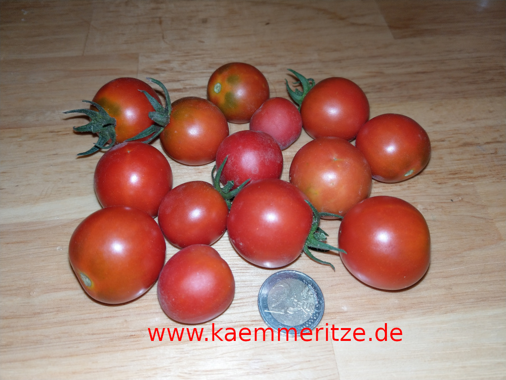 Tomate ‚Süße von der Krim‘ 5 Samen – Kämmeritze
